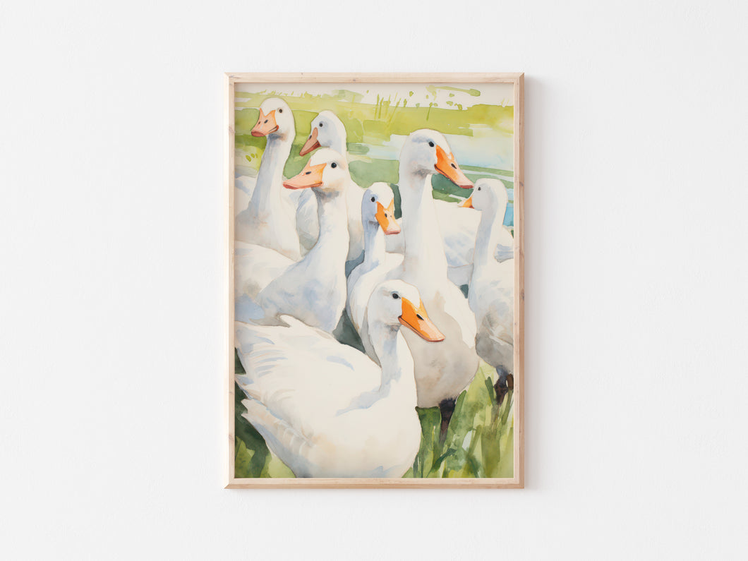 Geese