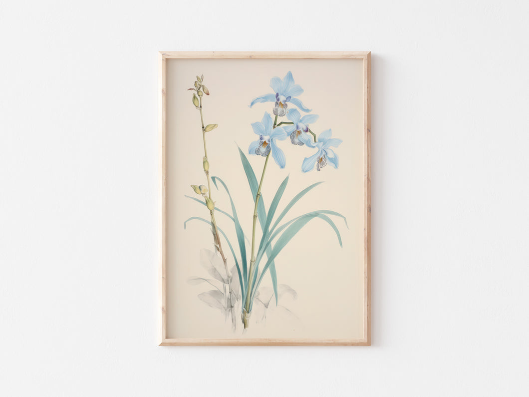 Blue Flowers (1)